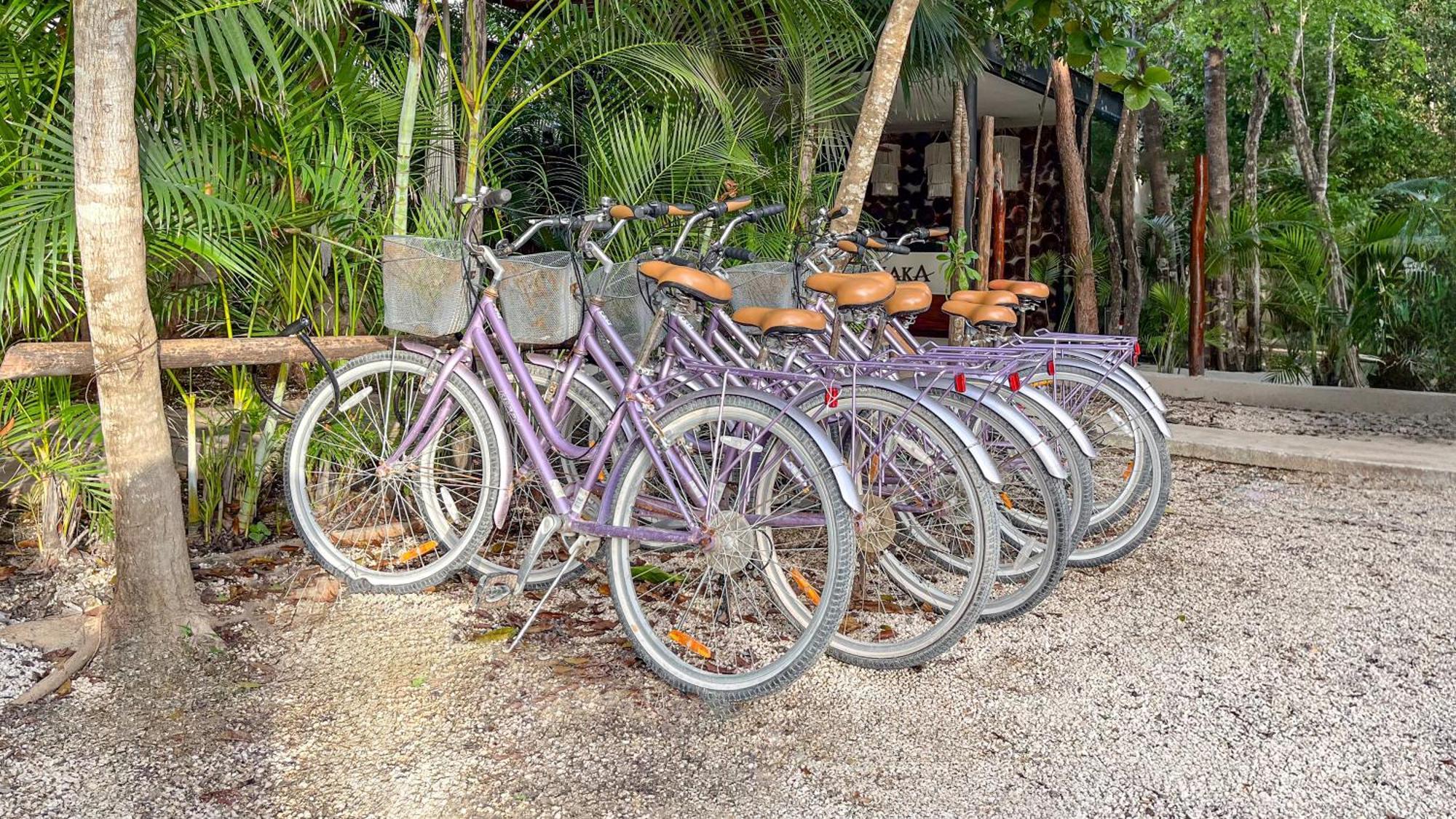 Hotel Amaka Calma Tulum Esterno foto